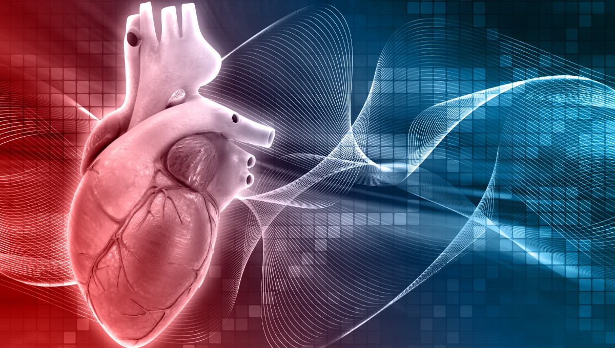 Kardiovaskulárne problémy - srdce